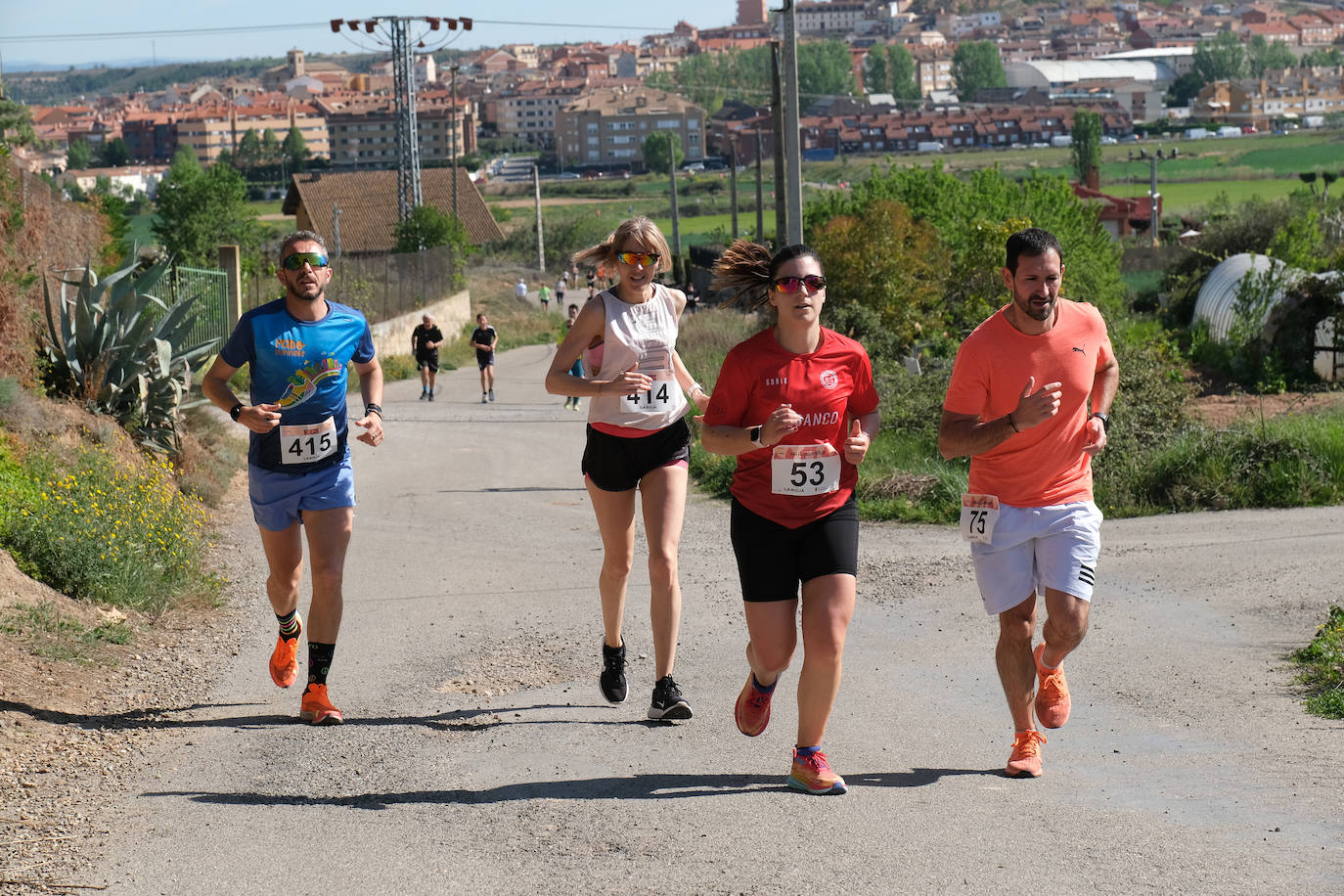 Las imágenes de la carrera Valle del Iregua