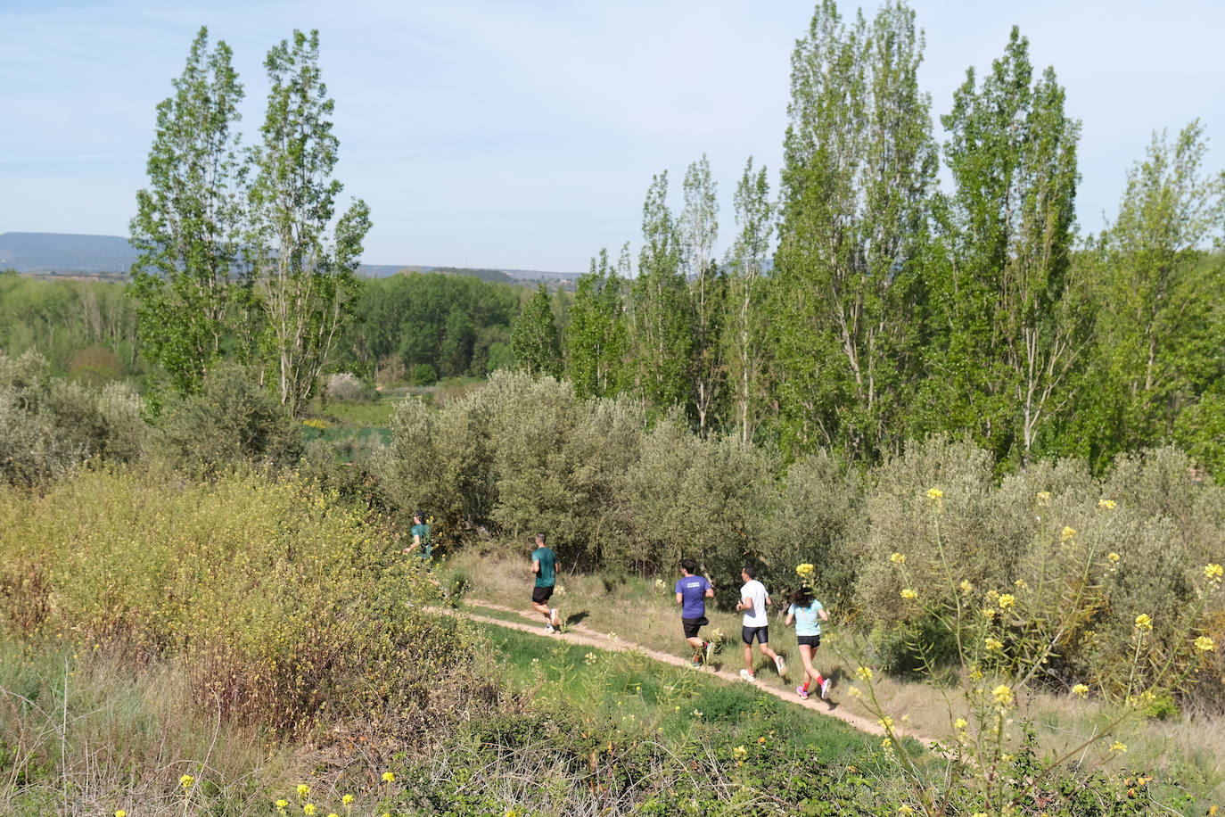 Las imágenes de la carrera Valle del Iregua
