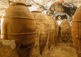 'La historia del vino: de las antiguas civilizaciones a La Rioja', curso de verano en la UR