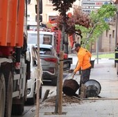 El Ayuntamiento retira 120 catalpas que ensuciaban Chivite