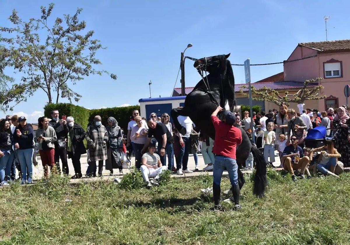 En recuerdo de los 130 años del ferial de ganado de Rincón de Soto