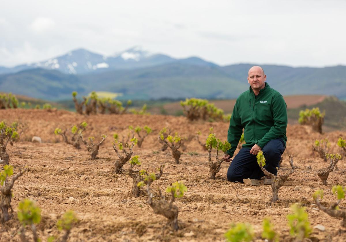 Luis Fernando San Martín en uno de los viñedos para el que ha pedido cosecha en verde.