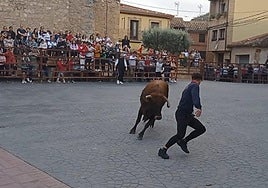 Imagen de archivo de vaquillas en Rincón de Olivedo.