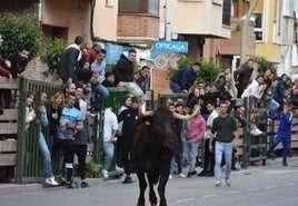 Piden prohibir el acceso de los niños a los encierros de Rincón de Soto... pero pensando que está en Andalucía