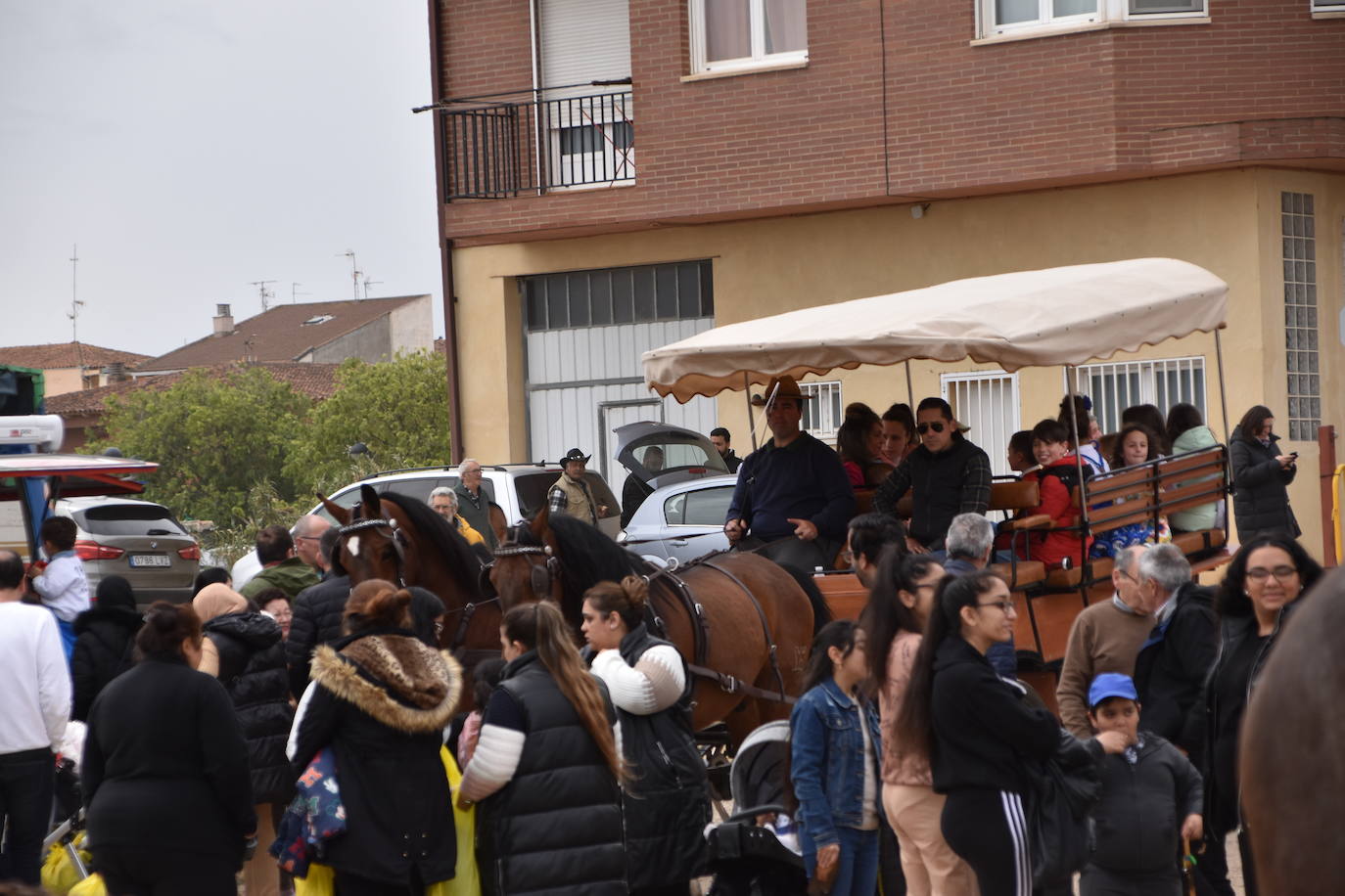 Gran ferial de ganado equino en Rincón de Soto