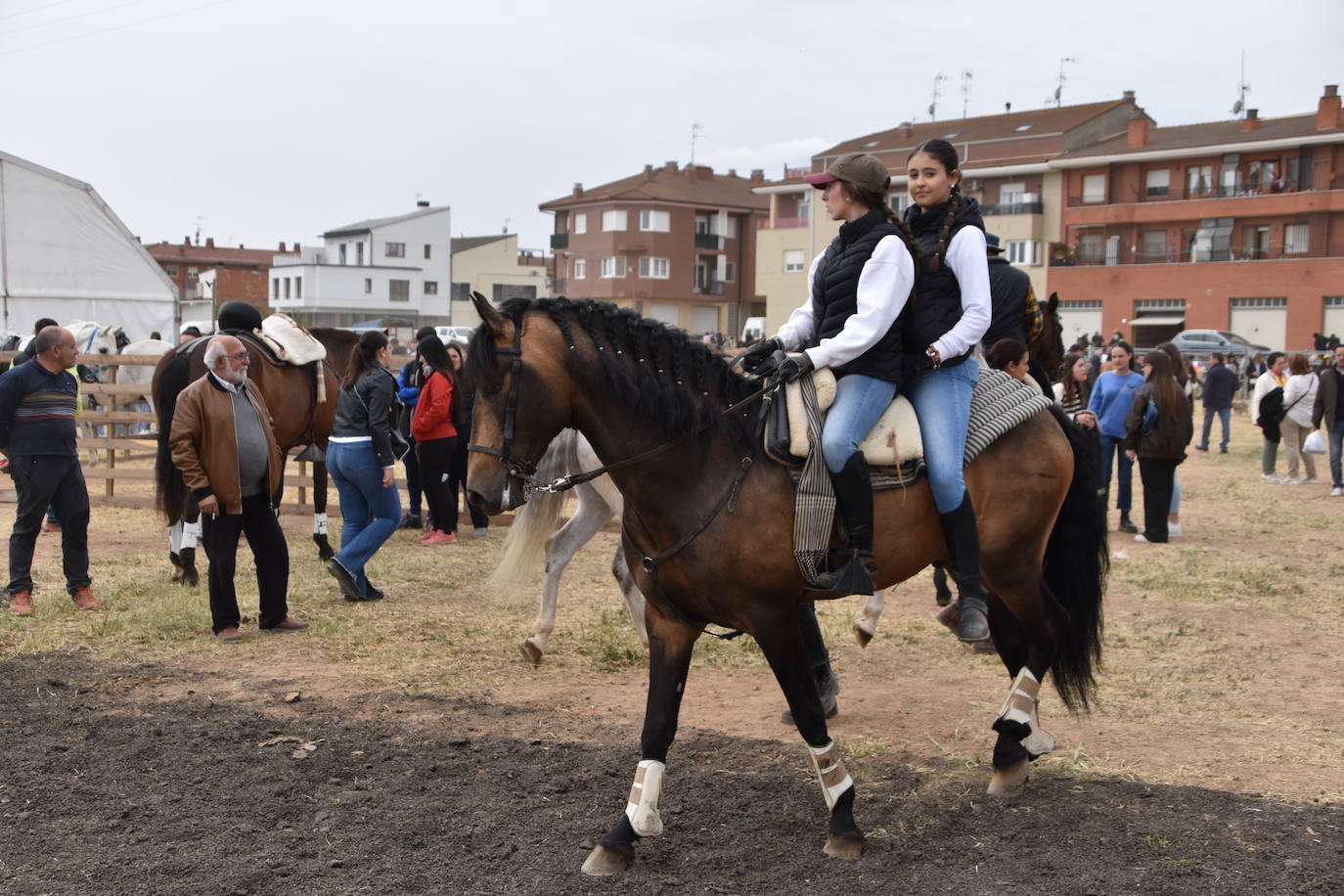 Gran ferial de ganado equino en Rincón de Soto