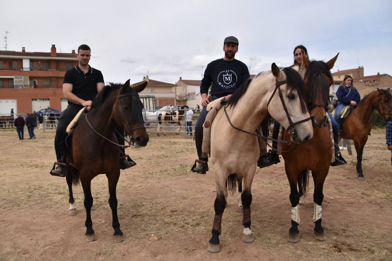 Gran ferial de ganado equino en Rincón de Soto