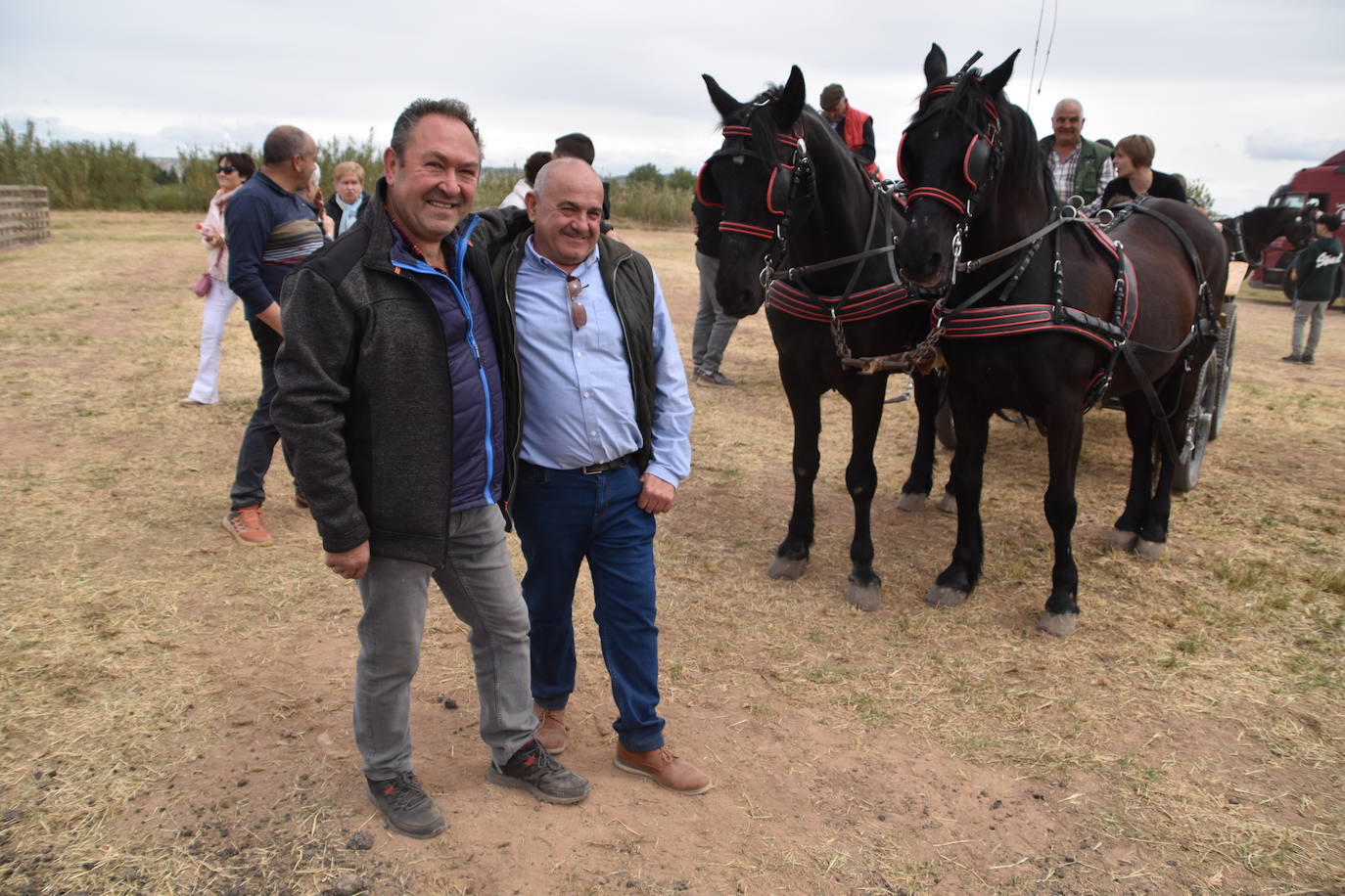 Gran ferial de ganado equino en Rincón de Soto