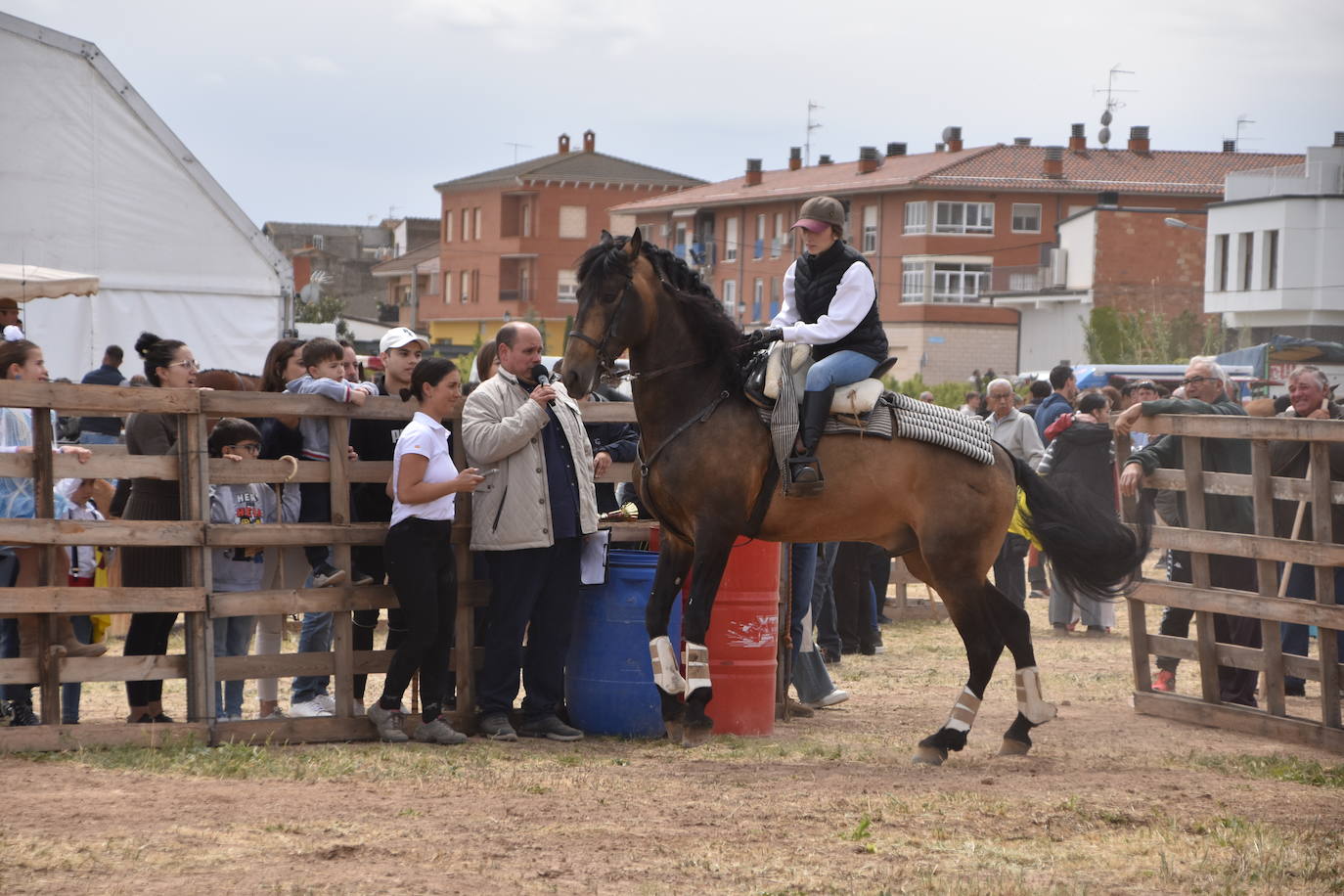Gran ferial de ganado equino en Rincón de Soto