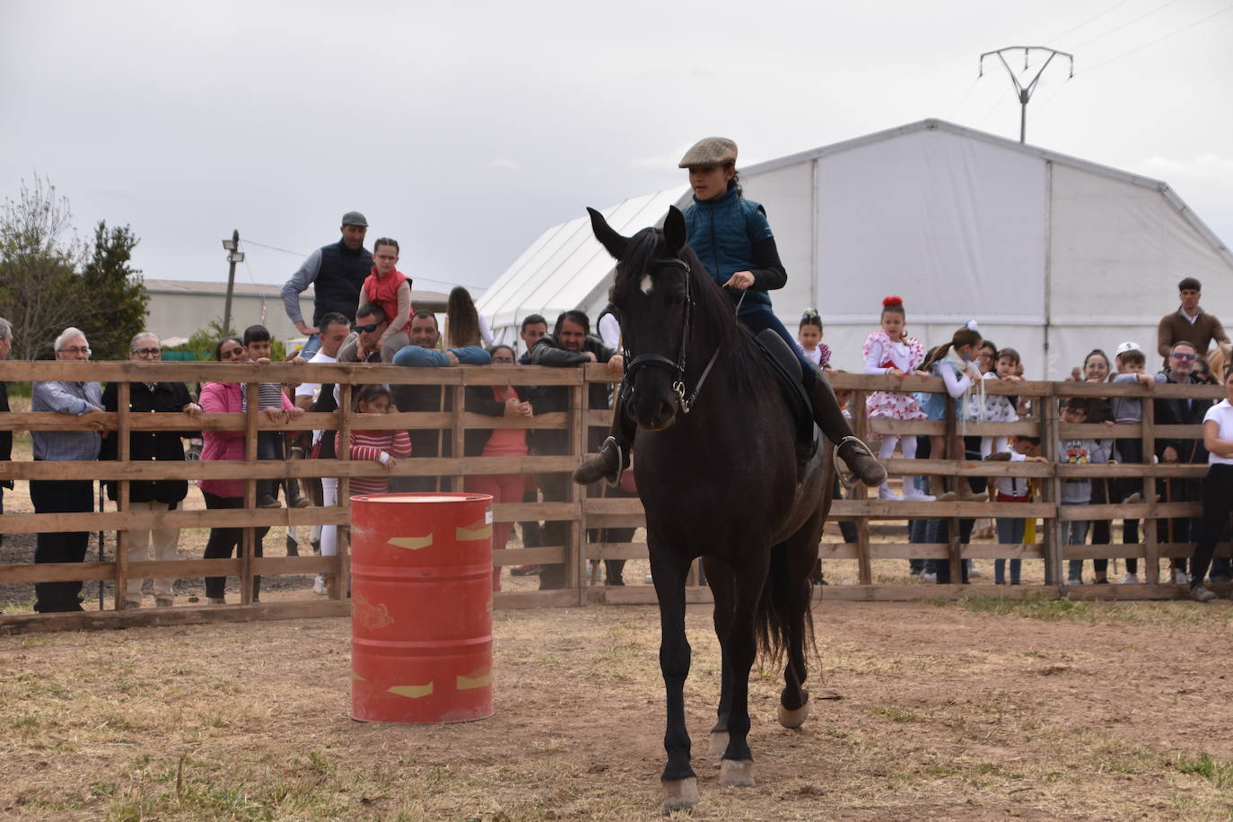 Gran ferial de ganado equino en Rincón de Soto