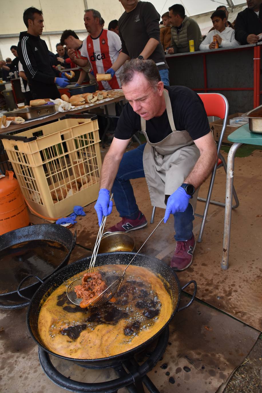 Gran ferial de ganado equino en Rincón de Soto