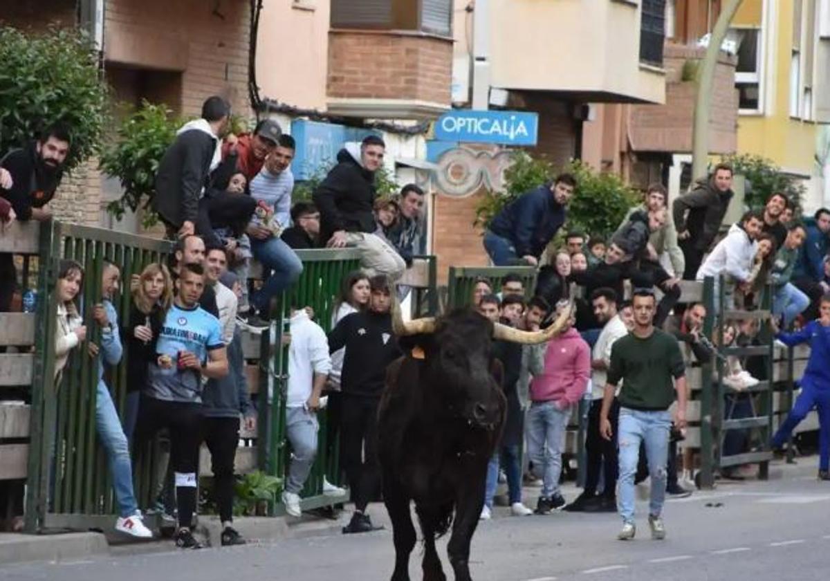 Piden prohibir el acceso de los niños a los encierros de Rincón de Soto... pero pensando que está en Andalucía