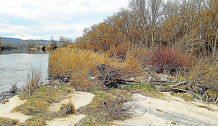 Imagen de uno de los espacios junto al Ebro que se beneficiarán de este proyecto.