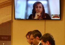 La expresidenta Andreu ha coparecido por videoconferencia desde el Senado.