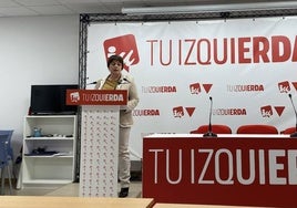 La diputada regional de IU, Henar Moreno, durante la rueda de prensa.