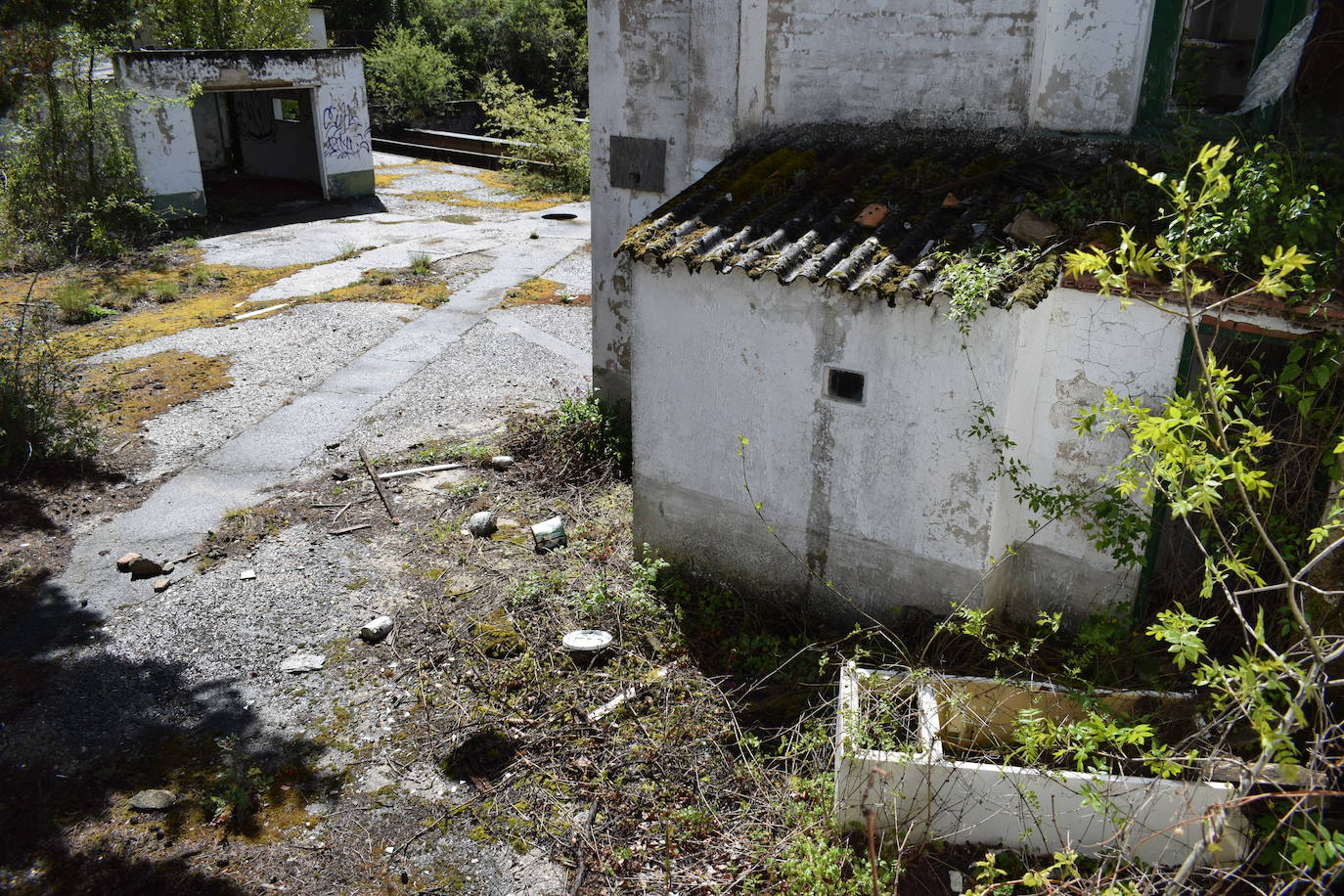 Las imágenes del estado de abandono de la piscifactoria