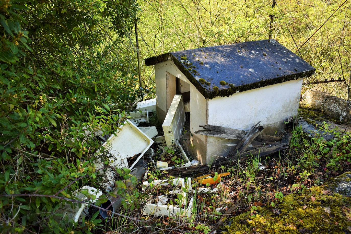 Las imágenes del estado de abandono de la piscifactoria
