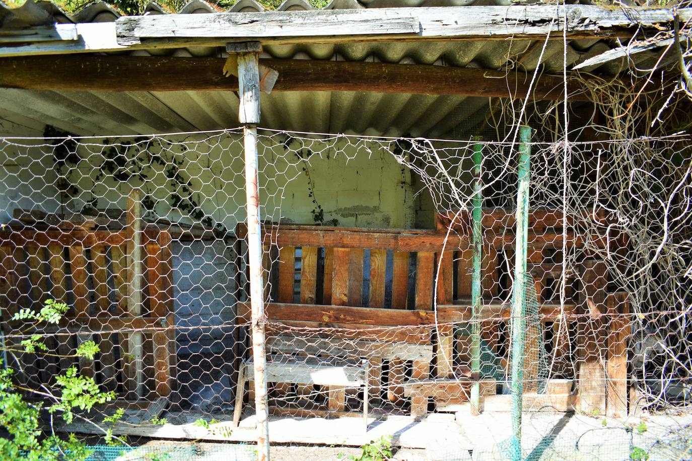 Las imágenes del estado de abandono de la piscifactoria