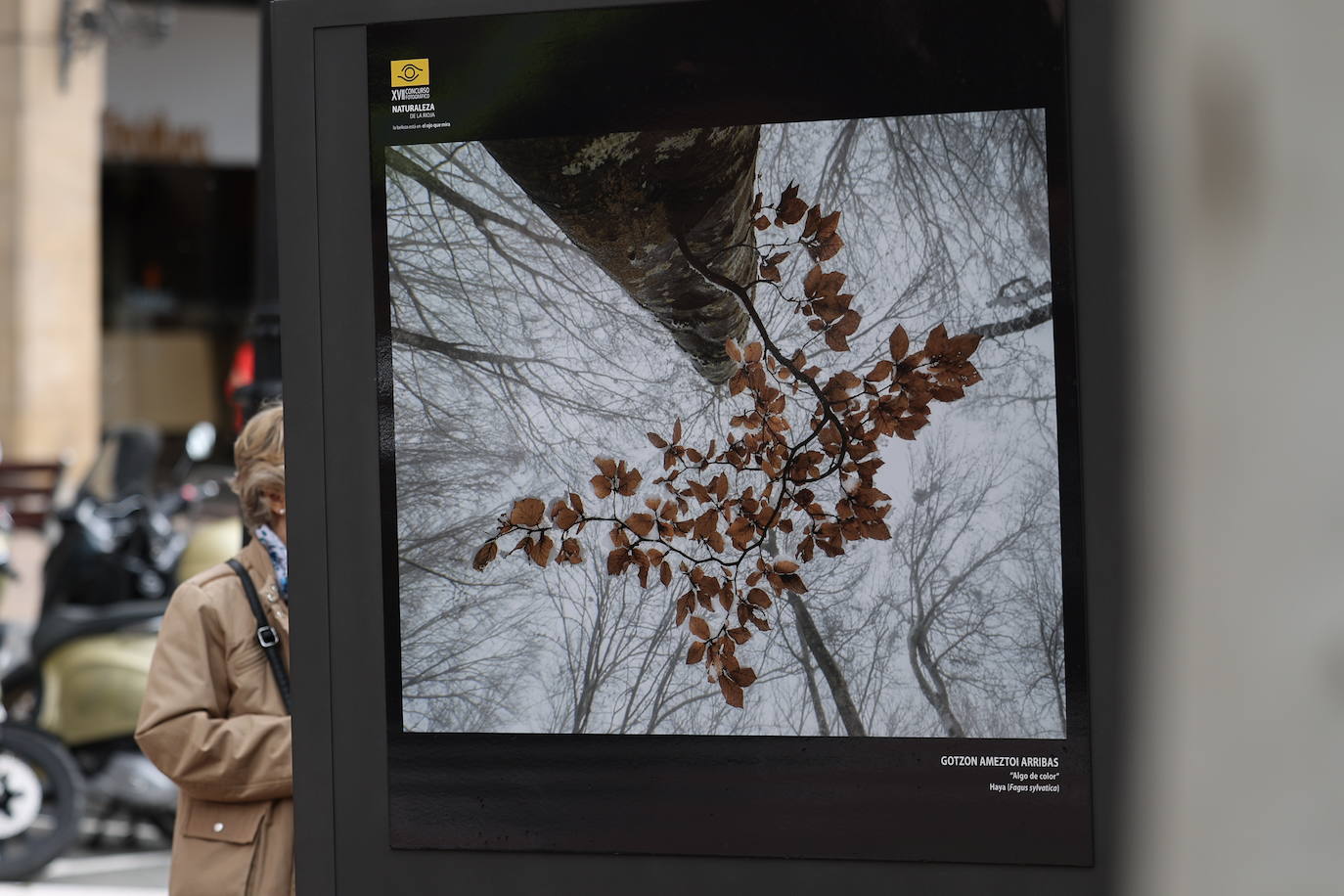 Exposición del &#039;XVII Concurso Fotográfico Naturaleza de La Rioja&#039;