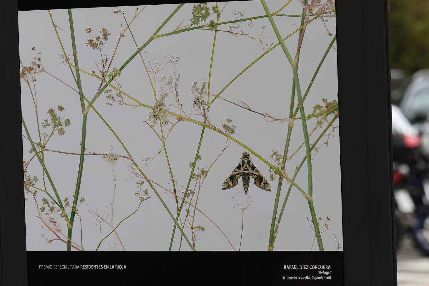 Exposición del &#039;XVII Concurso Fotográfico Naturaleza de La Rioja&#039;