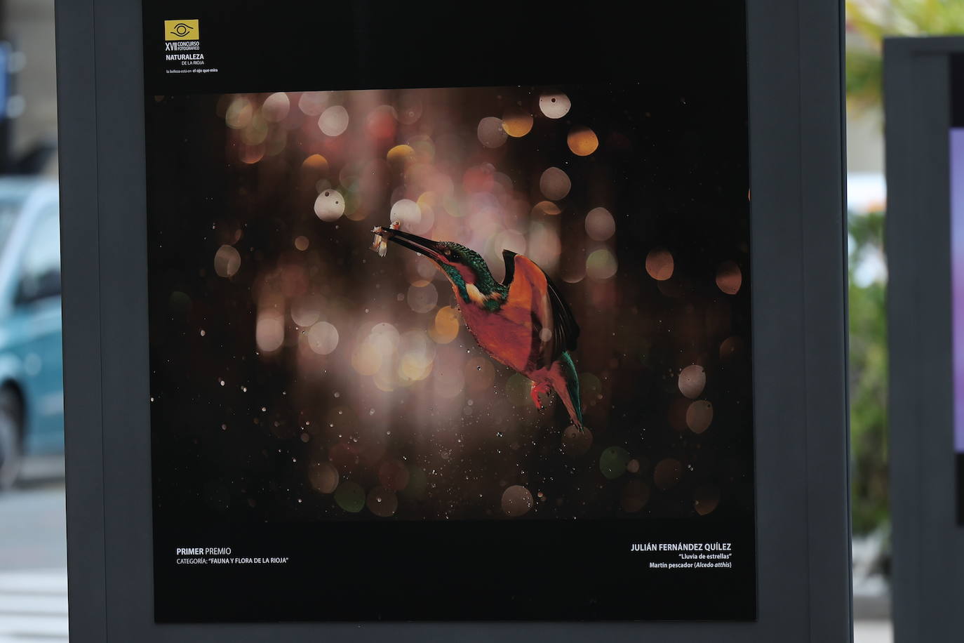 Exposición del &#039;XVII Concurso Fotográfico Naturaleza de La Rioja&#039;