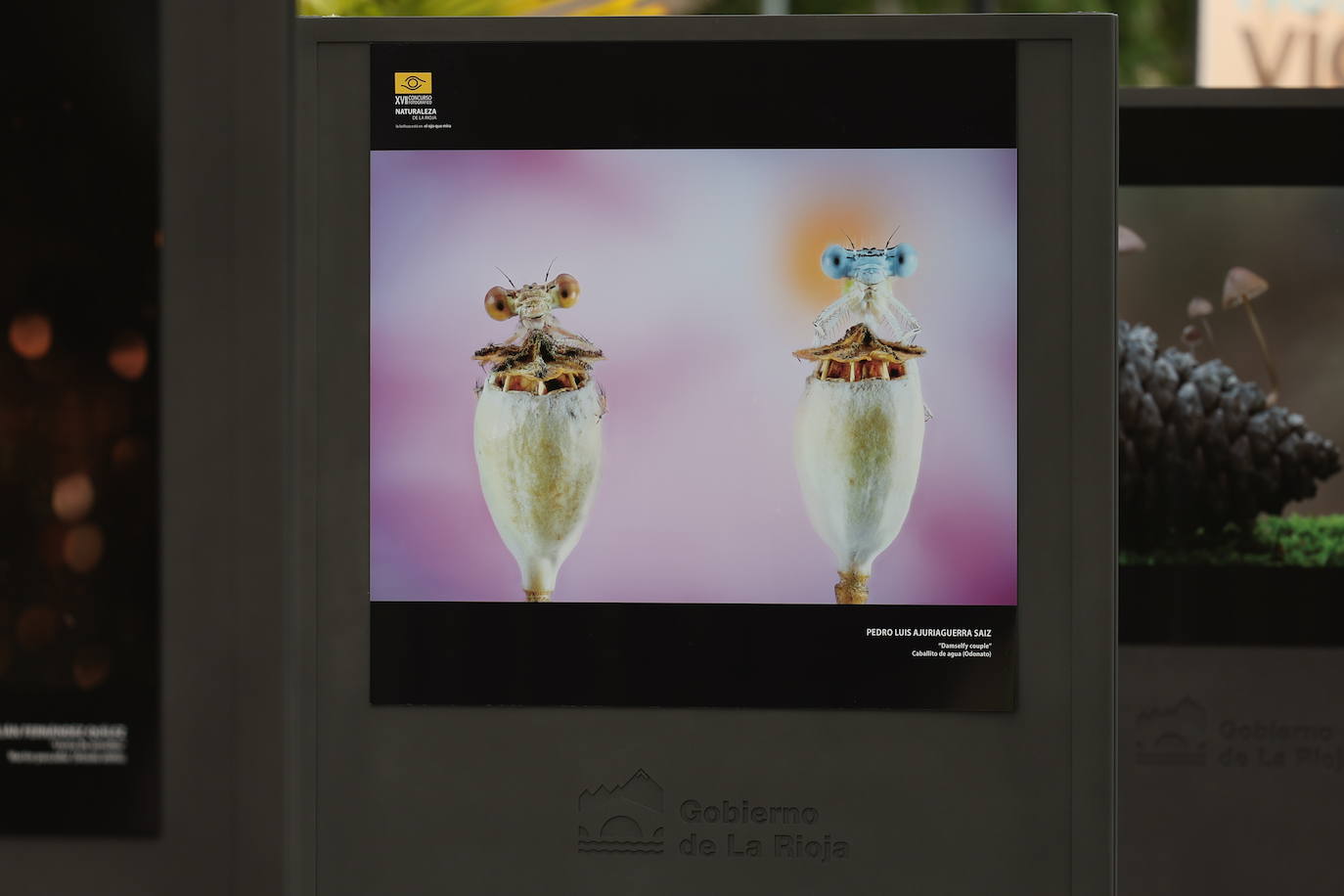 Exposición del &#039;XVII Concurso Fotográfico Naturaleza de La Rioja&#039;