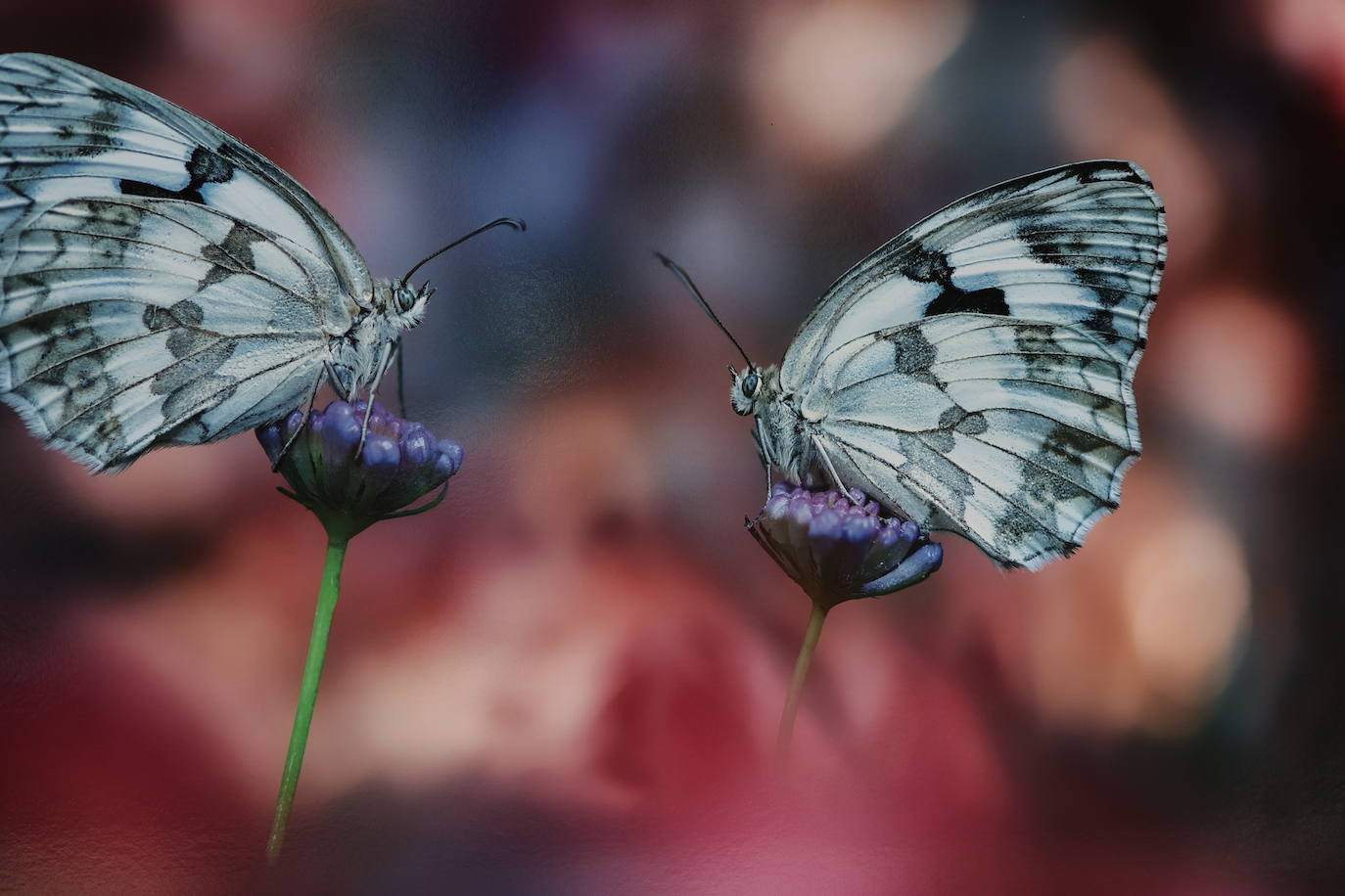 Exposición del &#039;XVII Concurso Fotográfico Naturaleza de La Rioja&#039;