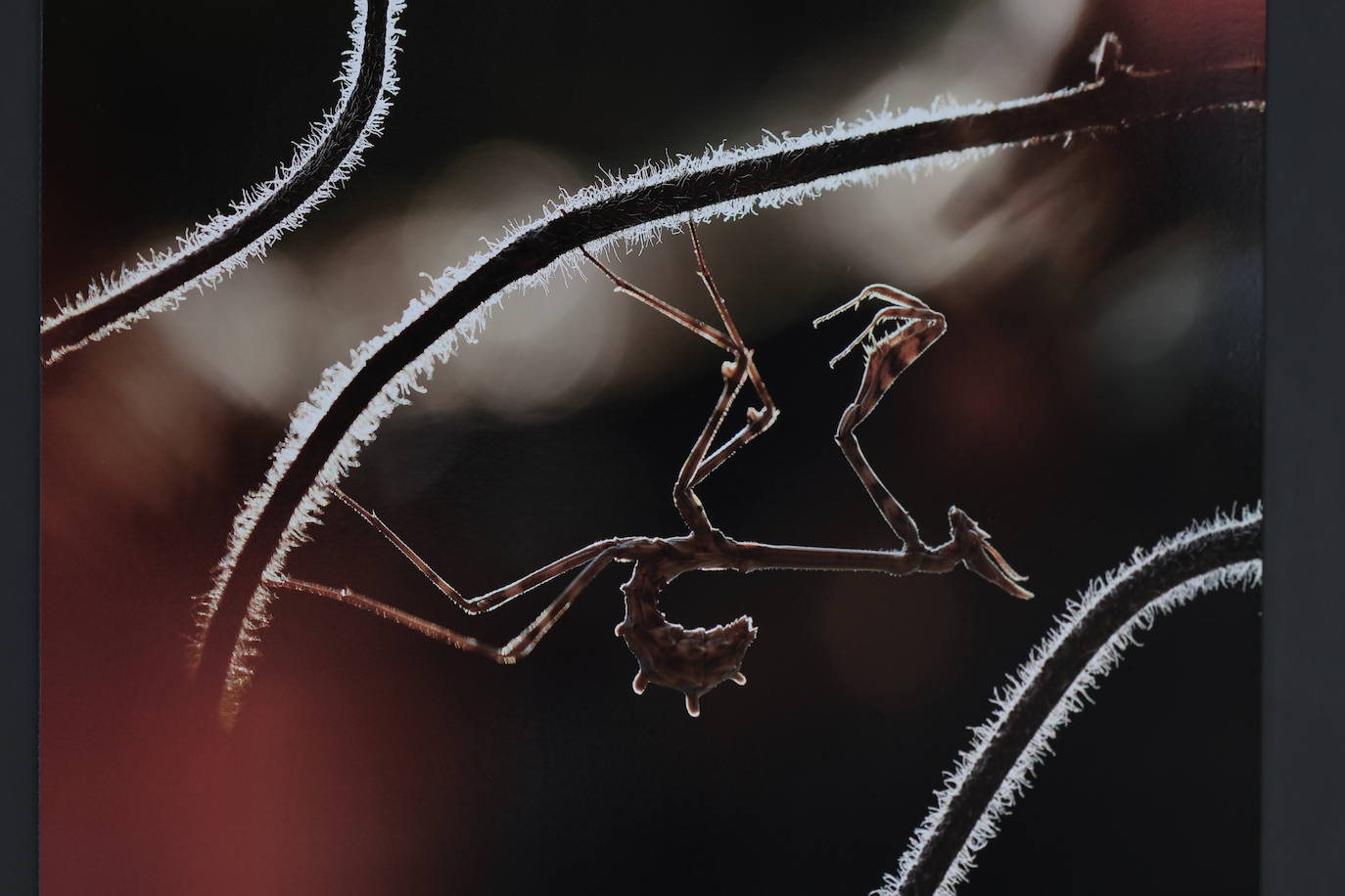 Exposición del &#039;XVII Concurso Fotográfico Naturaleza de La Rioja&#039;