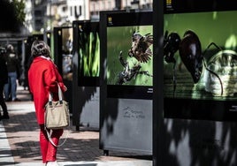 Exposición del 'XVII Concurso Fotográfico Naturaleza de La Rioja'