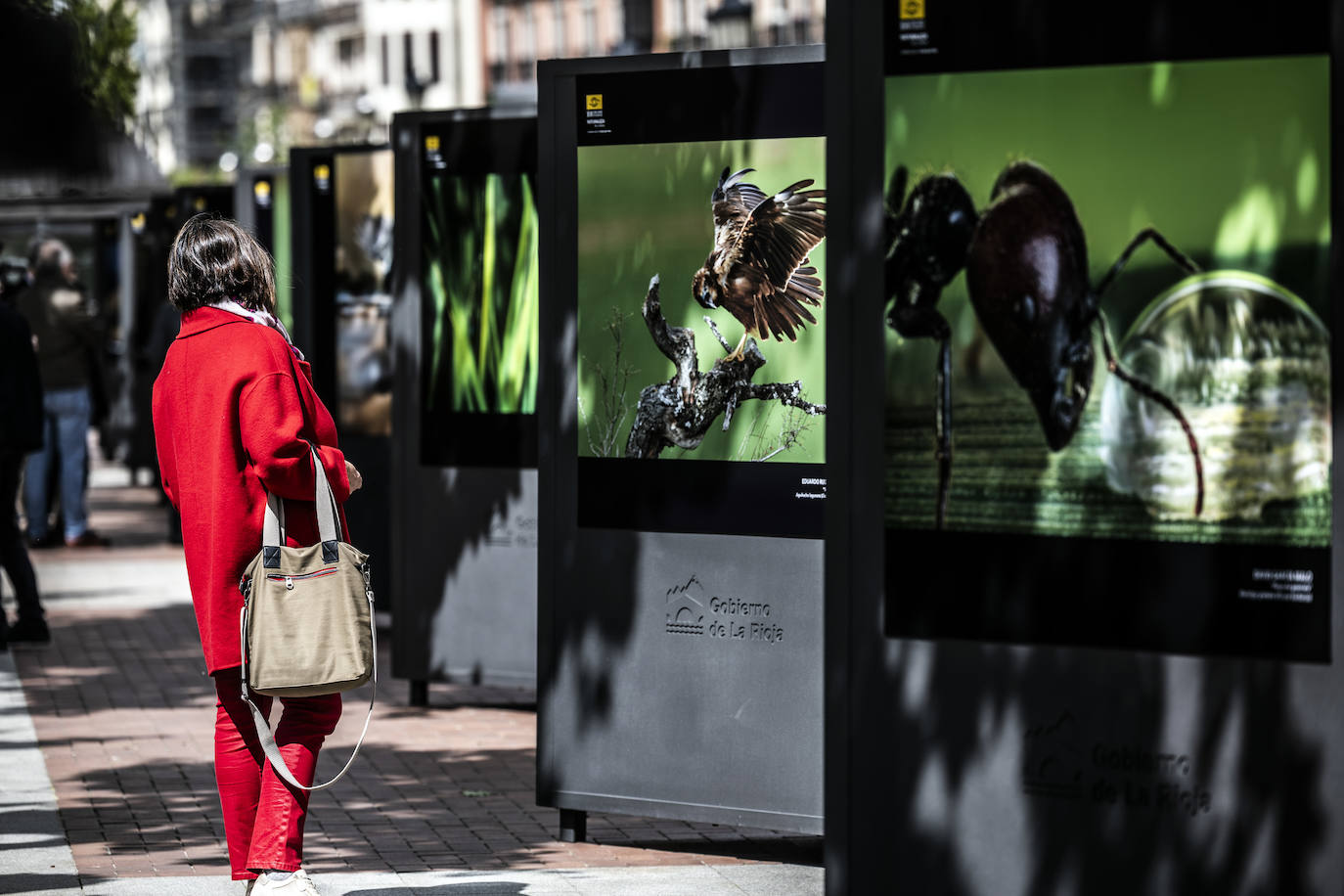 Exposición del &#039;XVII Concurso Fotográfico Naturaleza de La Rioja&#039;