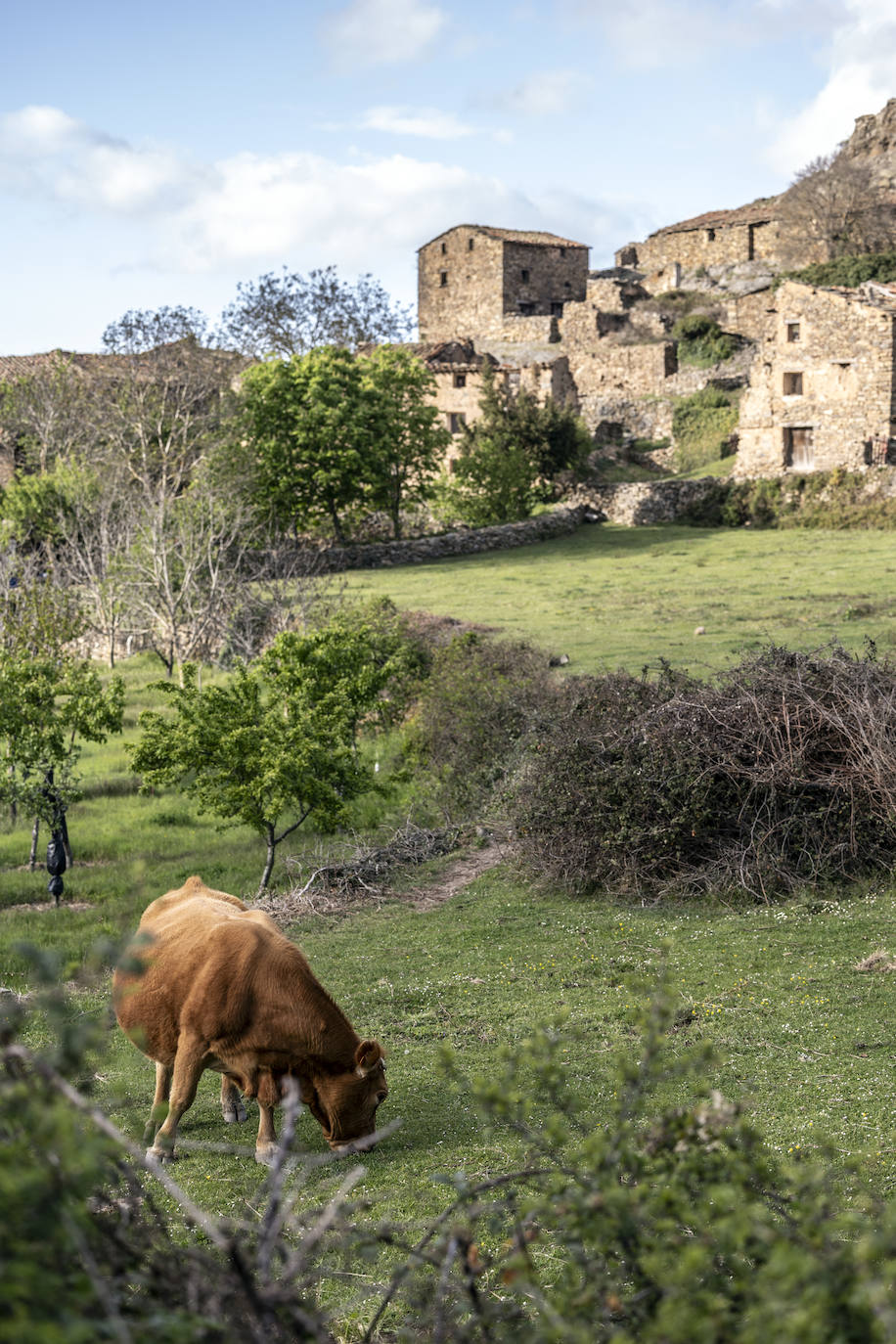 Una lucha en solitario para que Oliván no quede deshabitada