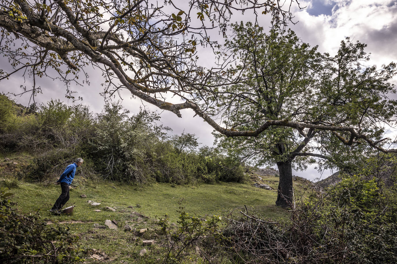 Una lucha en solitario para que Oliván no quede deshabitada