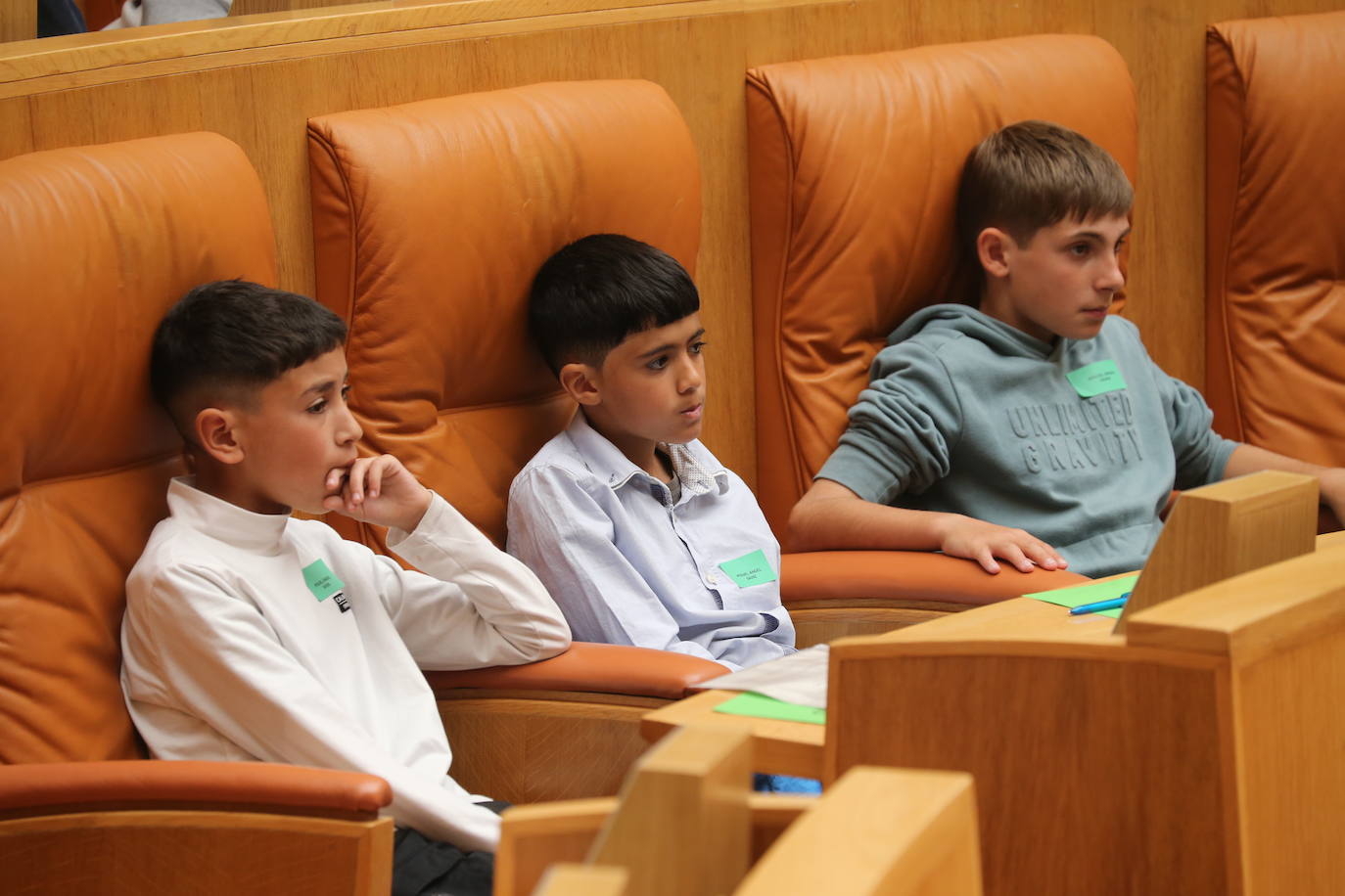 El Parlamento de La Rioja acoge la celebración del Pleno infantil