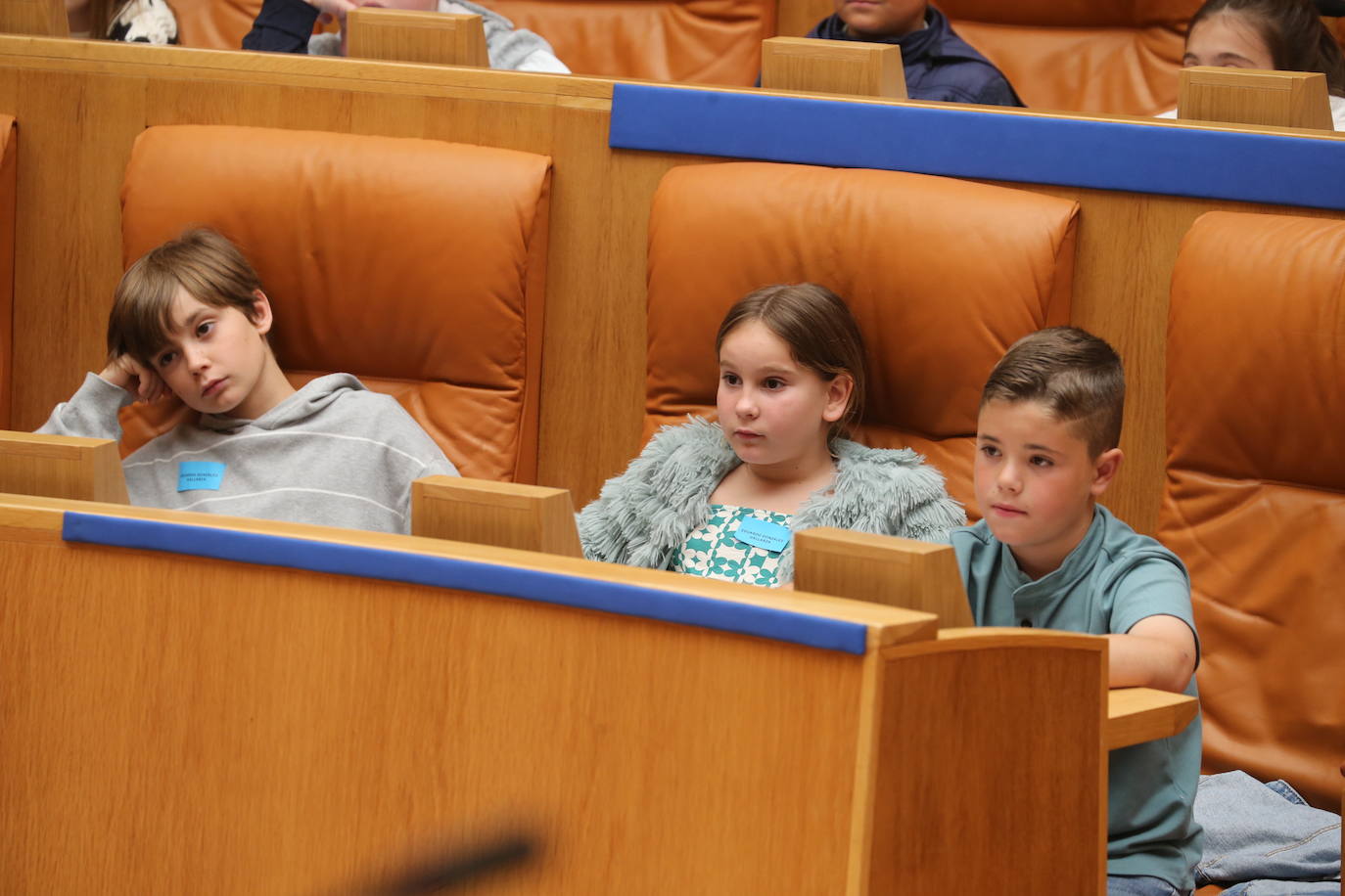 El Parlamento de La Rioja acoge la celebración del Pleno infantil