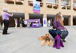 Acto celebrado por FibroRioja en la plaza del Ayuntamiento, en una imagen de archivo.