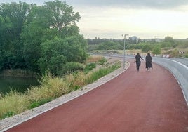 Una pareja pasea por el carril ciclopeatonal del polígono industrial en la tarde de ayer, antes de que finalicen las obras.