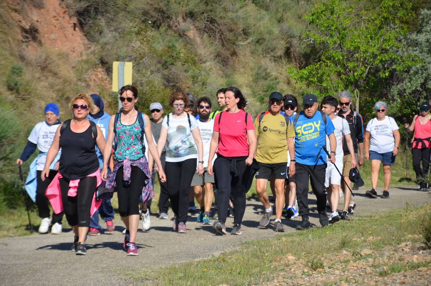 La XX edición de la Marcha por la Vía Verde del Cidacos