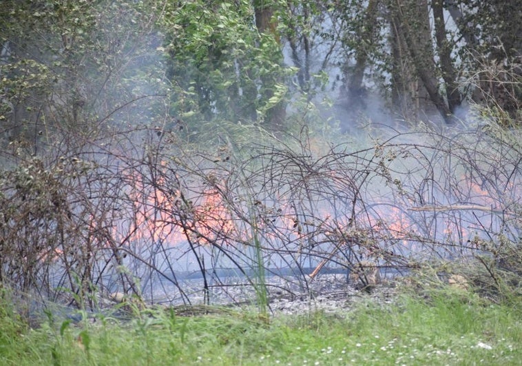 Una gran humareda en el incendio del parque del Iregua