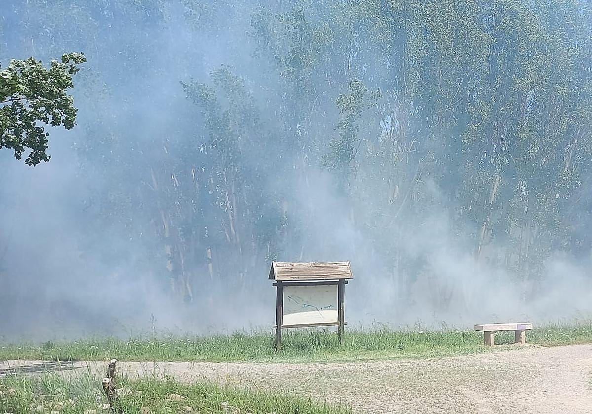 Humo en el parque del Iregua por el incendio.