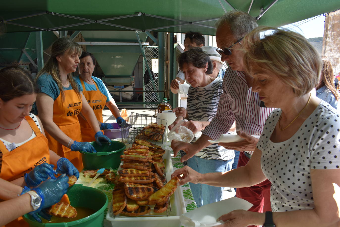 Fiesta del trujal en Igea con 1.500 tostadas para disfrutar