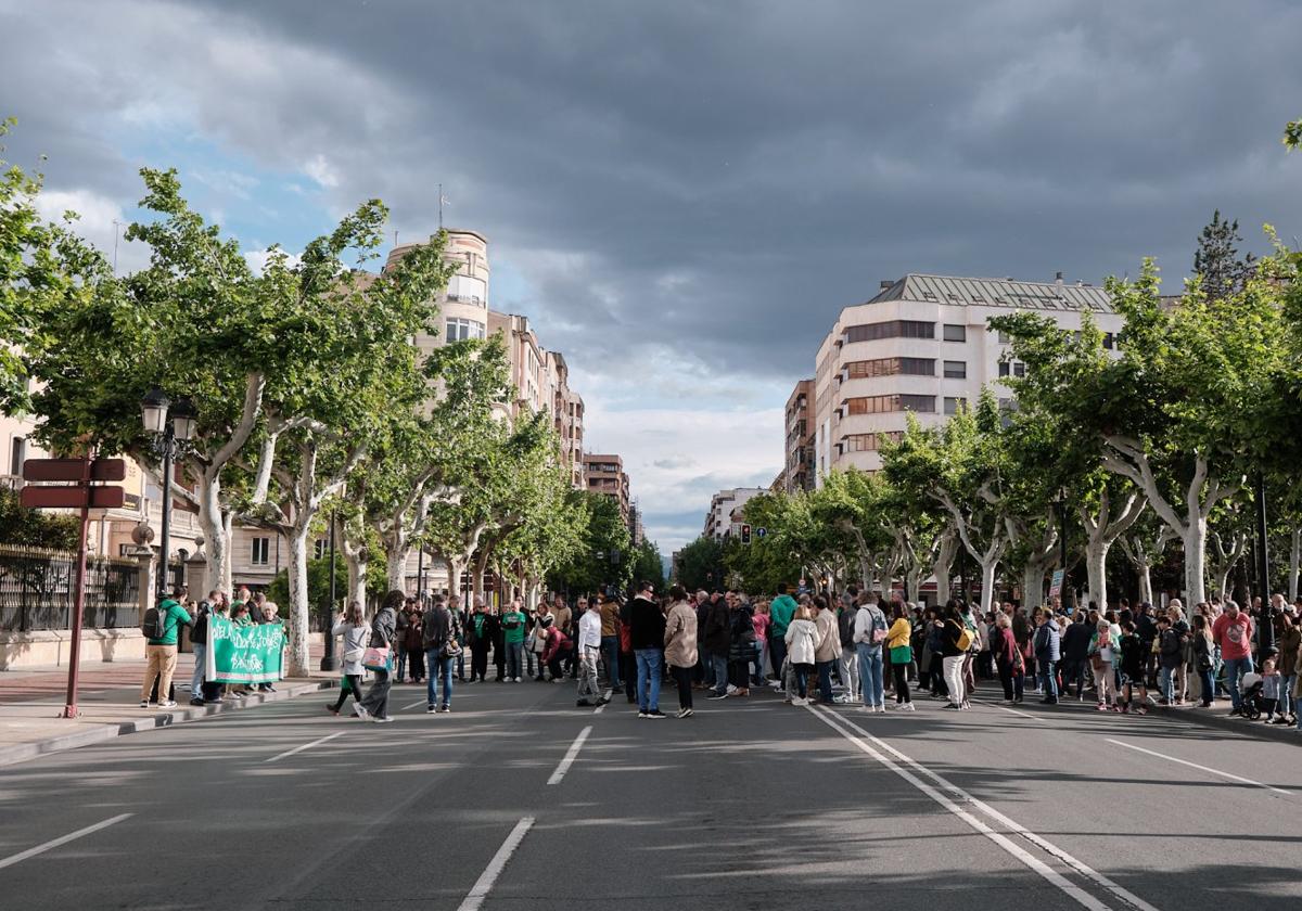 La habitual pancarta verde encabezó la movilización junto Espolón, ayer por la tarde.