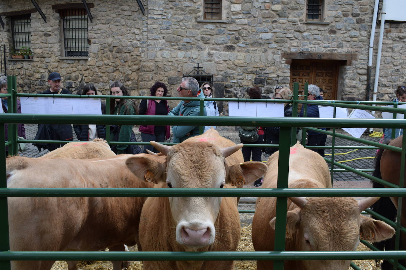 La VII Feria del Ganado Selecto, en imágenes