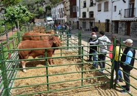 La VII Feria del Ganado Selecto, en imágenes