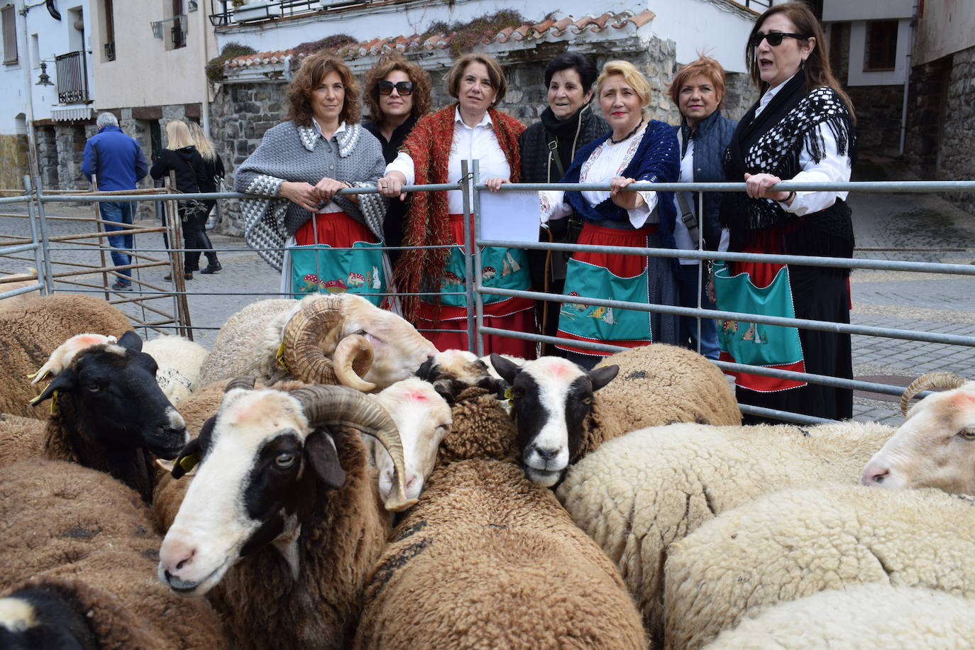 La VII Feria del Ganado Selecto, en imágenes