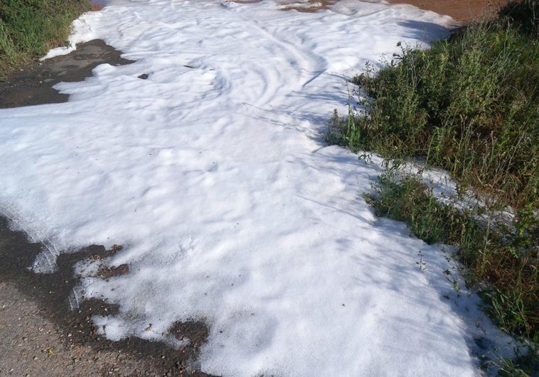 El granizo afecta a viñas y cereal junto a la N-232