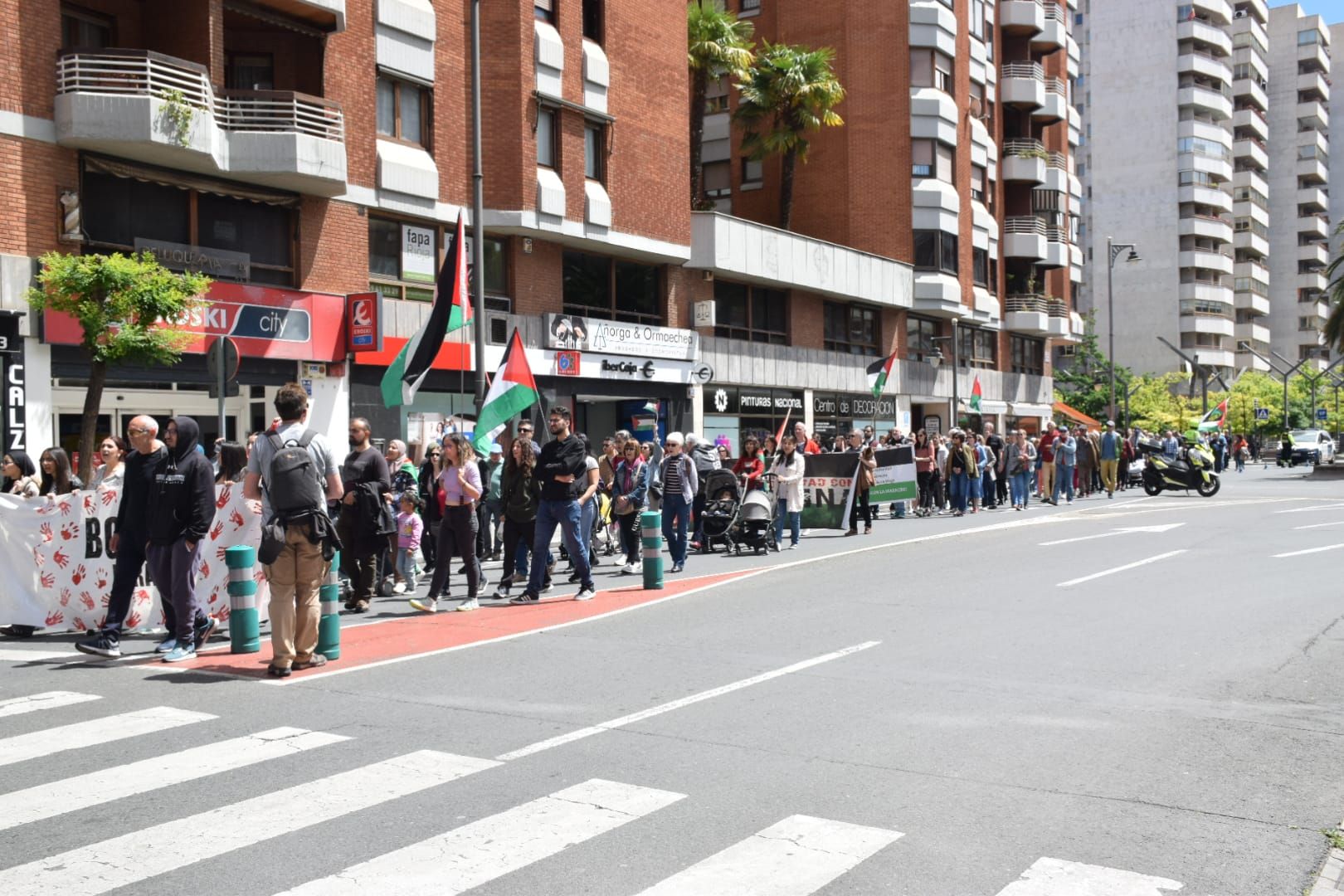 La marcha en apoyo a Palestina, por el centro de Logroño.