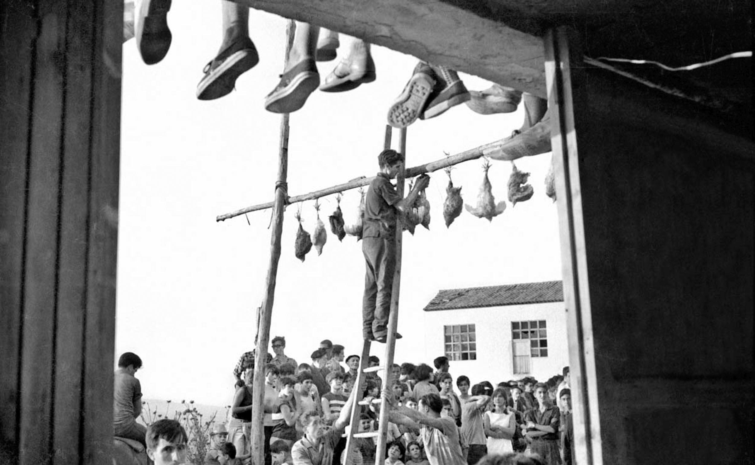 Teo tenía una inclinación natural hacia lo etnográfico, pero no porque aquellas tradiciones le parecieran arcaicas o curiosas, sino por lo que tenían de naturales en la sociedad que fotografió. La 'Fiesta de los gallos', antes de convertirse en objeto de vitrina, como auténtica fiesta, se convierte en motivo de emoción y tensión previas con los preparativos, donde Teo busca el paso atrás, el que deja en segundo plano el motivo central para convertir a toda la sociedad de la época en protagonista, enmarcando la excusa para retratarla con el marco de ese portón.