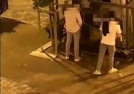 65 denuncias este fin de semana en Logroño, la mayoría por orinar en la calle