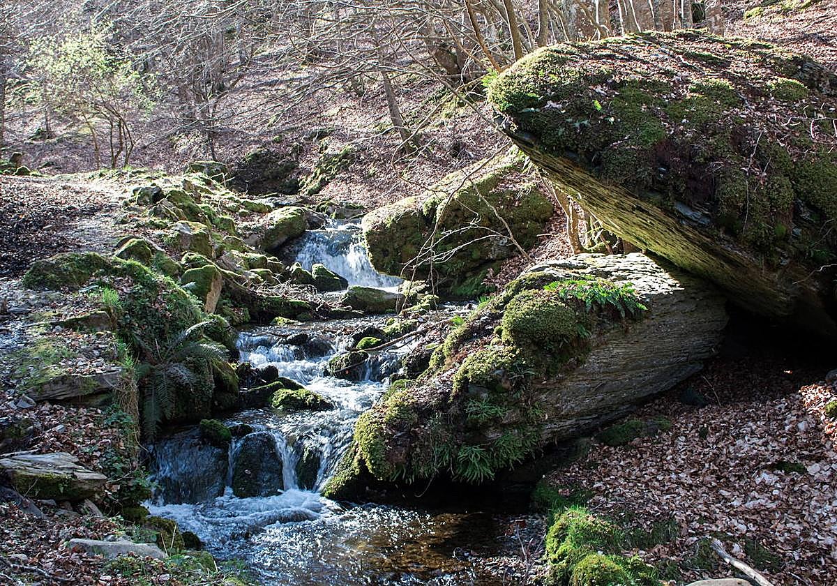 Ruta de los Siete Puentes, por el barranco de Usaya, en Azárrulla.