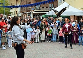 Exhibición de cetrería ayer en el Mercado Medieval de Agoncillo.